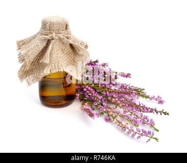 Calluna vulgaris (known as common heather, ling, or simply heather) isolated. Stock Photo