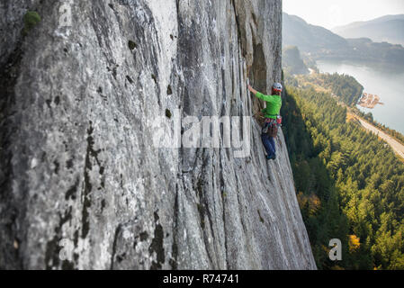 Young female rock climber climbing up rock face, elevated view, The Chief, Squamish, British Columbia, Canada Stock Photo