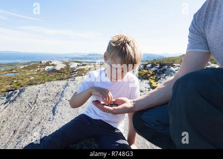 Boy taking berries from father's hand on rock, Aure, More og Romsdal, Norway Stock Photo