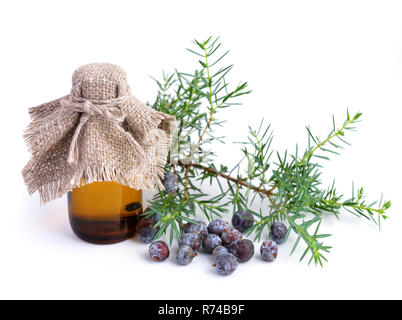 Juniper branch and berries with pharmaceutical bottles. Isolated. Stock Photo