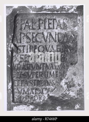 Umbria Terni Narni S. Domenico, this is my Italy, the italian country of visual history, Medieval Architecture, architectural sculpture 12th century Wall painting 13-16th century Mosaic, cosmati style pavement c. 1200, photo 1986, Architecture, architectural sculpture, cosmati pavement, sculpture. Post-medieval Frescoes, painting 13-16th century sculpture 14-16th century Frescoes, painting, sculpture, metalwork Antiquities Weaponry Church deconsecrated and modified for use as museum Stock Photo