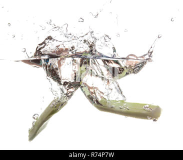 Cucumber slice falling in the water Stock Photo