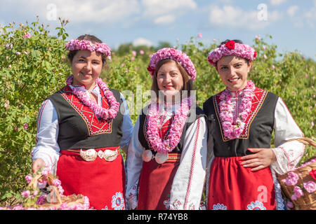 Women dressed in a Bulgarian traditional folklore costume picking roses in a garden, as part of the summer regional ritual in Rose valley, Bulgaria. Stock Photo