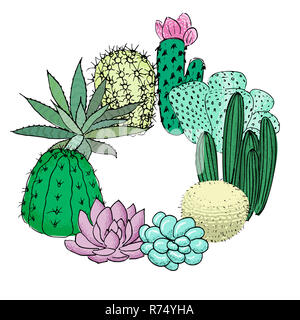 Succulent cactus set roundelay. Place for text. agave, aloe, gastraea, echeveria, Pachyphytum Stock Photo