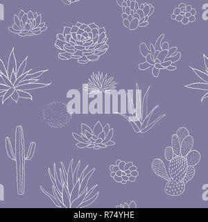 Succulent seamless pattern, hand drawn vector illustration. outline sketch chalk style Stock Photo