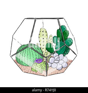 Succulent cactus collection in a ceramic pot. Agave, aloe, Saguaro, gastraea, haworthia, echeveria, Pachyphytum, prickly Stock Photo