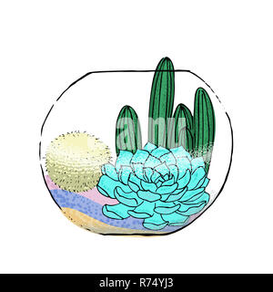 Succulent cactus collection in aquarium. Agave, aloe, Saguaro, gastraea, haworthia, echeveria, Pachyphytum, prickly pear Stock Photo