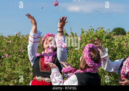 Women dressed in a Bulgarian traditional folklore costume picking roses in a garden, as part of the summer regional ritual in Rose valley, Bulgaria. Stock Photo