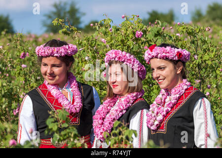 Women dressed in a Bulgarian traditional folklore costume picking roses in a garden, as part of the summer regional ritual in Rose valley, Bulgaria. Stock Photo