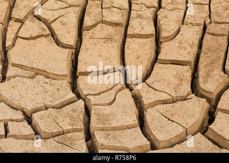 crack of dried soil background texture Stock Photo