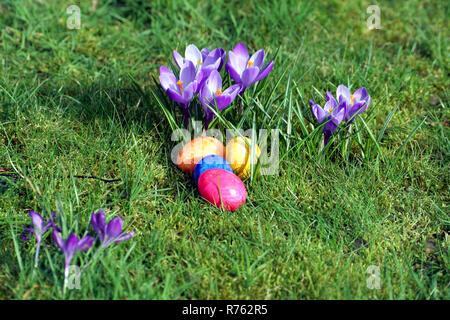 Stock Photo