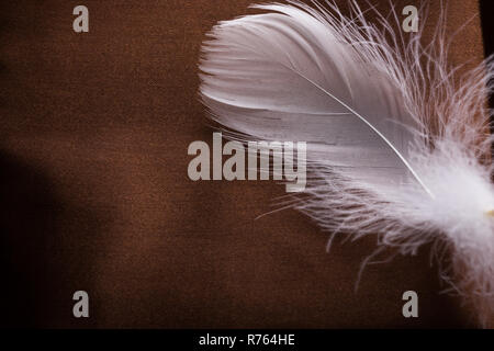 White feathers on brown cloth. Closeup Stock Photo