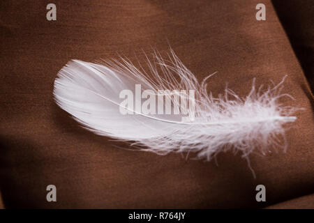 White feathers on brown cloth. Closeup Stock Photo