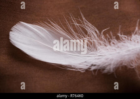 White feathers on brown cloth. Closeup Stock Photo