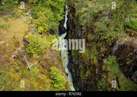 WA15471-00...WASHINGTON - The Cowlitz River flowing through Box Canyon in Mount Rainier National Park. Stock Photo