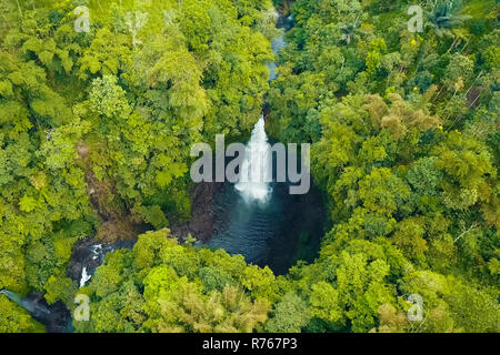 Waterfall in the rain forest. View from above. Waterfall beauty of nature Stock Photo