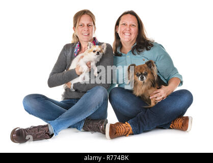 little chihuahuas and women in front of white background Stock Photo