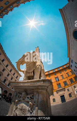 Low-angle and fisheye view of the Elephant in Piazza della Rotonda. Rome Stock Photo