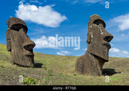 Moais in Rano Raraku, Rapa Nui National Park, Unesco World Heritage Site, Easter Island, Chile Stock Photo