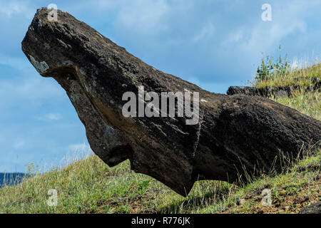 Moai in Rano Raraku, Rapa Nui National Park, Unesco World Heritage Site, Easter Island, Chile Stock Photo