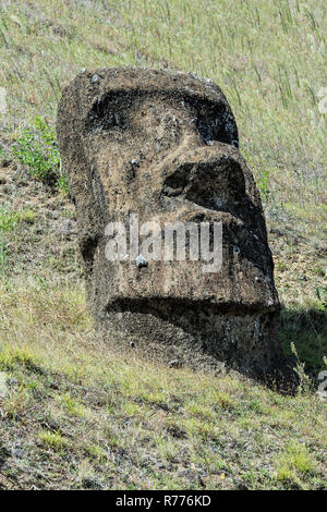 Moai in Rano Raraku, Rapa Nui National Park, Unesco World Heritage Site, Easter Island, Chile Stock Photo