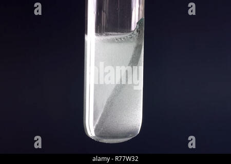 Laboratory flask with a tungsten plate in alkali Stock Photo