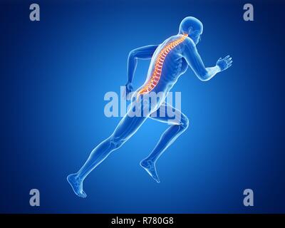 3d rendered illustration of a jogger's spine. Stock Photo