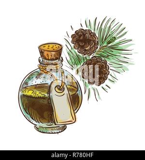 Pine tar in a bottle with branch. Watercolor imitation with sketch. Vector illustration. Stock Vector