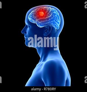 3d rendered illustration of a brain . Stock Photo