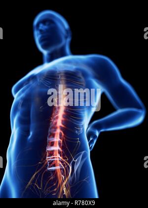 3d rendered illustration of a man with backache. Stock Photo