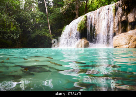 Wang Matcha, the second tier of Erawan Waterfall in Kanchanaburi Province, Thailand, with fish swiming in the clear water. Stock Photo