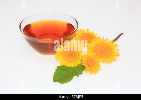 Bowl of dandelion syrup, dandelion flowers (Taraxacum officinale) Stock Photo