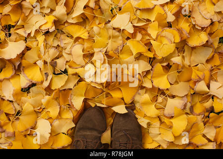 The ground is covered with golden gingko leaves and a pair of feet Stock Photo