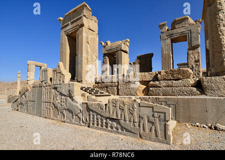 Iran, The beautiful reliefs in the ruins of Ancient Persepolis Complex of Near Eastern civilisation with persian architecture Stock Photo
