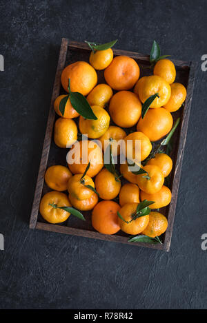 Tangerines (oranges, clementines, citrus fruits) with green leaves in box on black background, copy space. Stock Photo