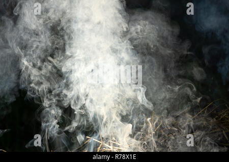 Beautiful white and blue smoke against black backdrop, man and woman shape, motion blur Stock Photo