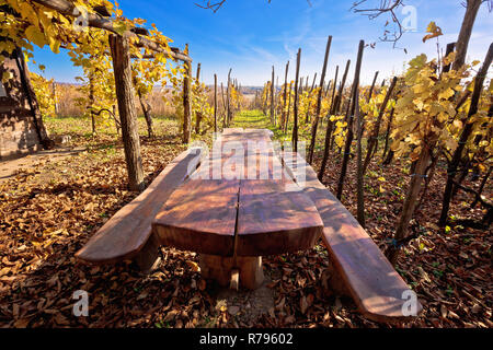 Bench in idyllic autumn vineyards trellis, restplace in colorful Kalnik mountain trail, Croatia Stock Photo