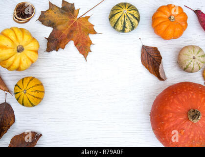 Looking down from above onto a white background with various pumpkins, gourds and winter squash with fallen Autumnal leaves on a white background Stock Photo