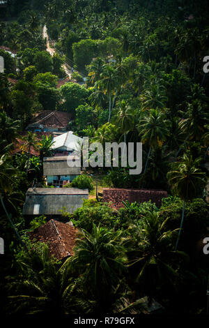 Sri Lanka, Dondra, 02/10/2014: a group of houses in the palm grove of the Bay of Dondra photographed from the top of the lighthouse Stock Photo