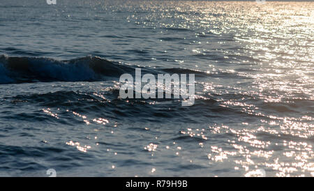 sea wave with golden light from the sun Stock Photo