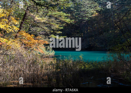 Goshiki-numa Five Colour Pond in Autumn, Urabandai, Fukushima, Japan Stock Photo