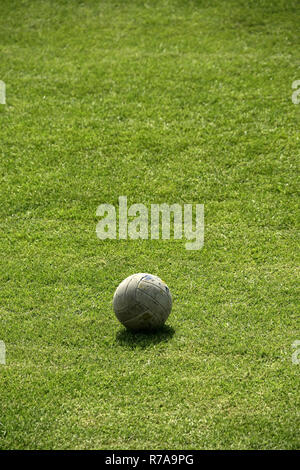 soccer ball on the grass Stock Photo