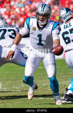 Tampa, Florida, USA. 02nd Dec, 2018. Carolina Panthers quarterback Cam Newton (1) during the game between the Carolina Panthers and the Tampa Bay Buccaneers at Raymond James Stadium in Tampa, Florida. Del Mecum/CSM/Alamy Live News Stock Photo