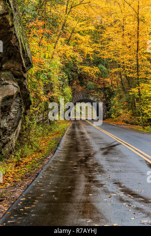 Vertical shot of a Smoky Mountain tunnel in the Fall. Stock Photo