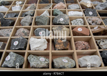 rocks and minerals inside of wooden case Stock Photo - Alamy