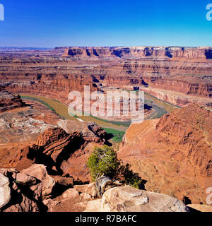 colorado river in  a deep canyon viewed from dead horse point state park near moab, utah Stock Photo