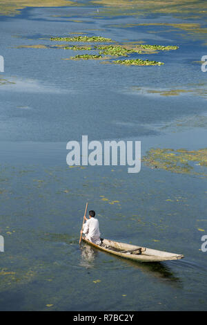 Man riding a shikara boat on the Dal lake in Srinagar, Kashmir, India. Stock Photo