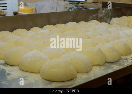 Bread dough in balls on metal trays rising waiting to be cooked Stock Photo