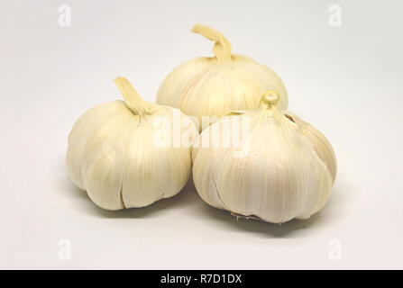 Three of Fresh Garlic Bulbs Isolated on White Background Stock Photo