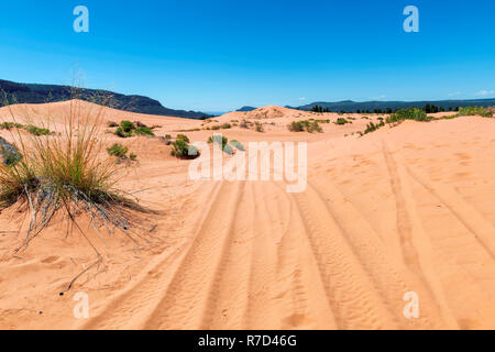 Coral Pink Sand Dunes with road leading into the dunes, Kanab, Utah. Stock Photo